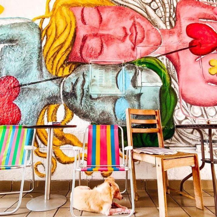 Zili Pernambuco - Hostel Pousada Recife Dış mekan fotoğraf