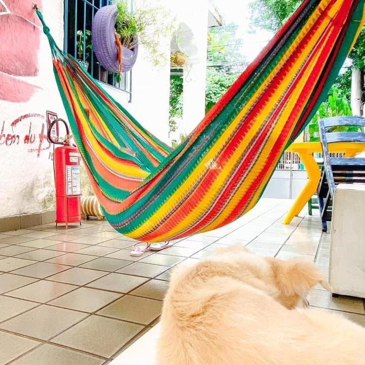 Zili Pernambuco - Hostel Pousada Recife Dış mekan fotoğraf